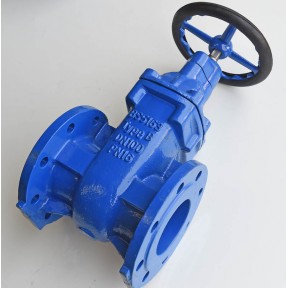 Ductile iron 'Waterworks' pattern gate valve flanged PN16